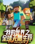 我的世界之全球无限生存