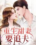重生追妻古言