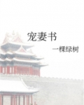 宠妻书
