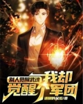 别人觉醒武魂,我却觉醒个军团 迷糊的呆瓜