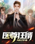 医尊狂婿 小说