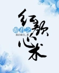 媚君小说免费阅读无弹窗