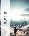 赌石风云紫蓝小说