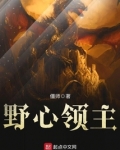 野心领主小说