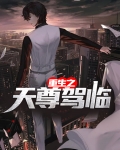 重生无极天尊免费阅读