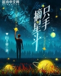 只手摘星斗作者赚了多少钱