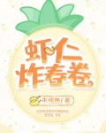 虾仁炸春卷 小说