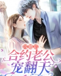 闪婚老公宠不停全文免费阅读