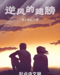 翅膀逆风版