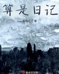 算是日记