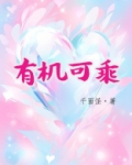 有机可乘的近义词