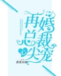 再婚总裁心尖宠全文阅读