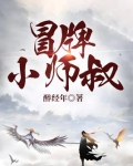 冒牌军师小白