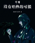 可惜，没有炽热的可能