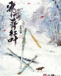 飞雪葬红叶txt