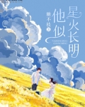 书名他似火