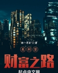 美利坚财富之路免费阅读