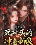 重生成为死对头的妻