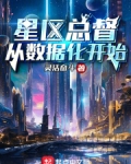 星区总督从数据化开始免费阅读