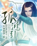 孤鸿引小说
