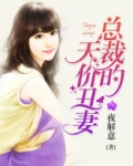 总裁的天价丑妻全文免费阅读