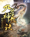 九星神龙诀境界划分详细
