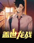 盖世龙战