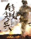 特战尖兵电视剧全集