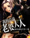 我的总裁老婆大人主角叶天