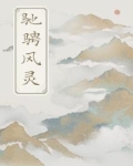 驰骋风灵