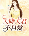 天降夫君万人迷