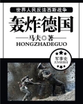 B29轰炸德国