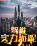 骂谁实力派呢岁月小说网
