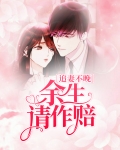 追妻不晚：余生请作赔