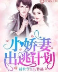 小娇妻百度云阅读