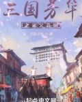 三国芳华之家父袁绍TXT