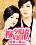 慕少追妻日常免费阅读