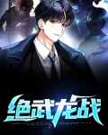 龙飞龙战武