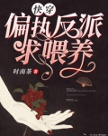 快穿偏执反派求喂养txt