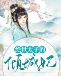 太子的倾城宠妃
