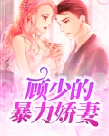 顾少娇妻有点虐小说