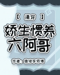 清穿六阿哥胤祚小说