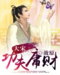 大宋功夫庸财