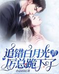 白月光追妻指南