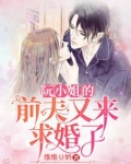 阮小姐的前夫又来求婚了