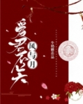 爱君不关风与月