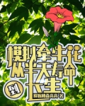 模拟牵牛花，从半天寿命到长生