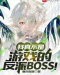 我真不是游戏的反派boss 小说 免费