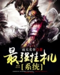 最强挂机系统TXT