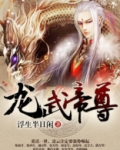 龙武帝尊枫吟紫辰小说免费阅读
